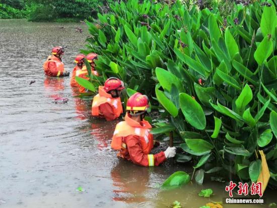 图为4月12日，在深圳市罗湖区西湖宾馆旁以及东湖公园，消防等多方力量仍在地毯式搜寻因暴雨失踪人员。 赖高第 摄