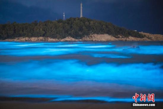 资料图：蓝色的荧光海藻，俗称“蓝眼泪”。图片来源：东方IC 版权作品 请勿转载