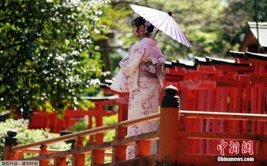 资料图：当地时间2019年4月16日，日本东京，春光明媚，一名身穿和服的女子在根津神社里拍照。