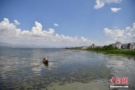 位于云南省大理白族自治州的洱海是云南第二大淡水湖泊。 /p中新社记者 刘冉阳 摄