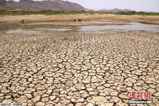 资料图：印度许多地区的气温逼近50摄氏度，接连不断热浪来袭触动了供水短缺的警告