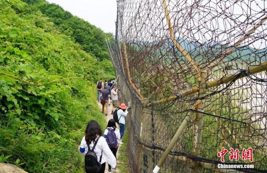 2019年，韩国首次向公众开放非军事区徒步游。图为游客正在体验徒步游，步道周围铁丝网环绕。<a target='_blank' href='http://www.chinanews.com/'>中新社</a>记者 曾鼐 摄