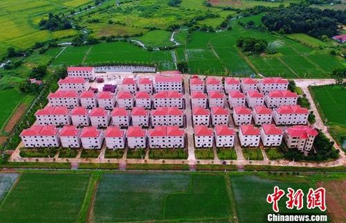 资料图：航拍江西美丽乡村：红顶楼房 整齐划一。记者 刘占昆 摄