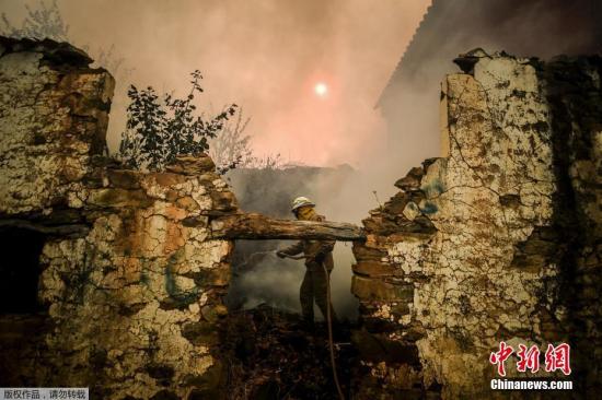 当地时间7月21日，葡萄牙中部山火窜入Cardigos村，国民警卫队消防员用塑料软管灭火。据悉，当局调派了近2000名消防员赶赴火场进行救援和灭火工作。图为消防员用塑料软管引水灭火。