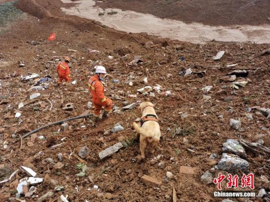 资料图：贵州水城特大山体滑坡灾害救援现场。贵阳市消防支队