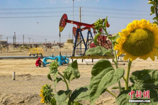 资料图：新疆克风城油田。吴小川 摄
