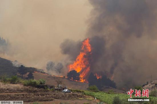 当地时间2019年8月19日，西班牙大加纳利岛，山火持续，火势凶猛。