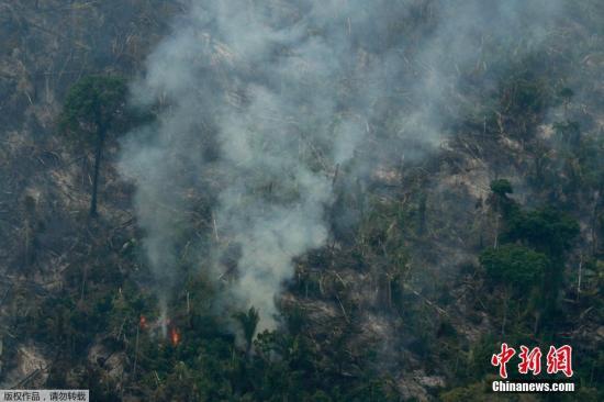图1：当地时间2019年8月，据国外媒体报道，“地球的肺”正在以前所未有的速度燃烧，烟雾甚至蔓延到了3000公里以外的城市。成千上万的热带植被、树木和其中所栖息的动物都被化为灰烬。