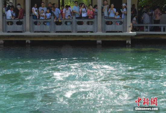 资料图：8月28日，游客观赏济南趵突泉“水涌若轮”景观。中新社记者 张勇 摄
