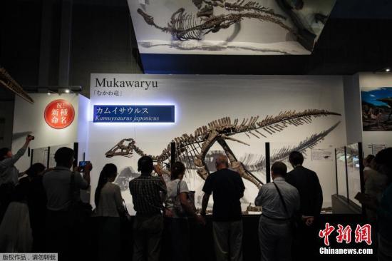 北海道大学发表声明说，研究团队将新的鸭嘴龙枓恐龙命名为“神威龙”，意为“日本龙神”。