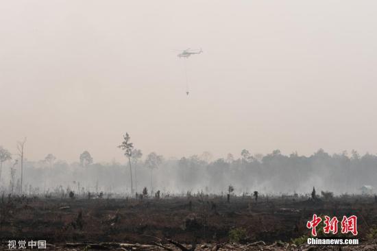 当地时间2019年9月21日，印度尼西亚加里曼丹中部Palangkaraya，森林大火后一片废墟，烟霾笼罩。 图片来源：视觉中国