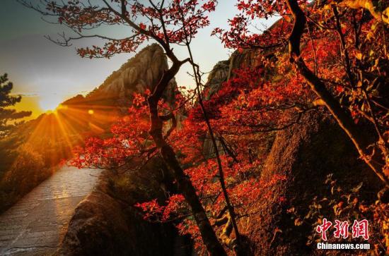 图为黄山秋景。 方立华 摄 图为黄山秋景。 方立华 摄