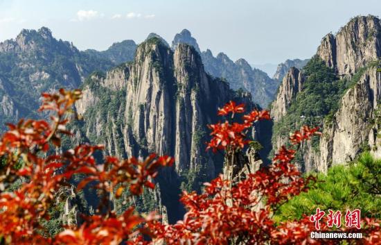 图为黄山风景区高海拔区域的美景。 方立华 摄 图为黄山风景区高海拔区域的美景。 方立华 摄