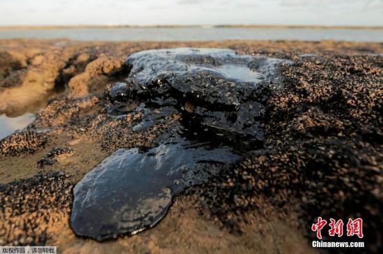 资料图：巴西东北部海滩今年9月初发现的原油污染已波及132片海滩，涉及9个州的61个市镇。