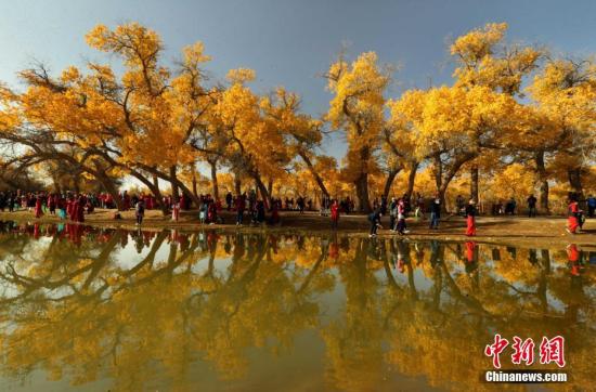 资料图:额济纳胡杨林旅游区。<a target='_blank' href='http://www.chinanews.com/'>中新社</a>发 王健民 摄 图片来源:CNSPHOTO 资料图:额济纳胡杨林旅游区。<a target='_blank' href='http://www.chinanews.com/'>中新社</a>发 王健民 摄 图片来源:CNSPHOTO