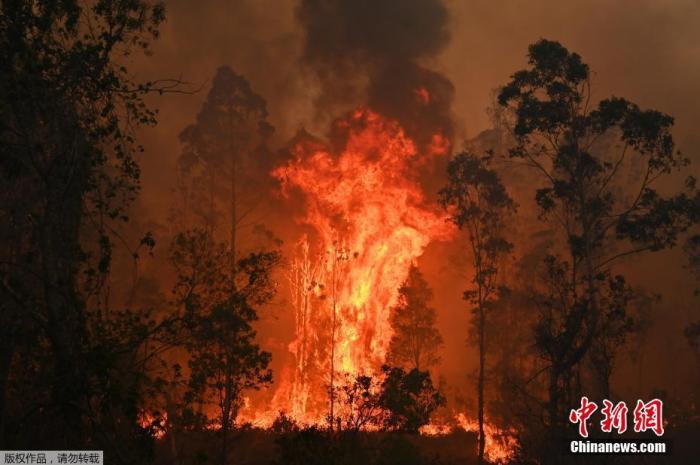资料图：澳大利亚山火不断蔓延。
