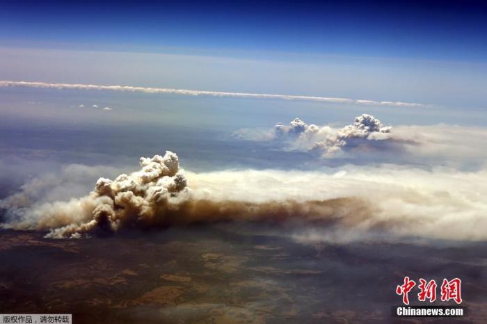 当地时间2019年11月26日，澳大利亚新南威尔士Richmond Valley，俯瞰当地森林火灾灾区。
