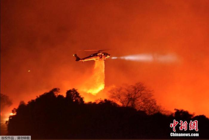 当地时间2019年11月25日，美国加州，洛斯帕德雷斯国家森林公园发生火灾，消防队员赶往现场灭火。