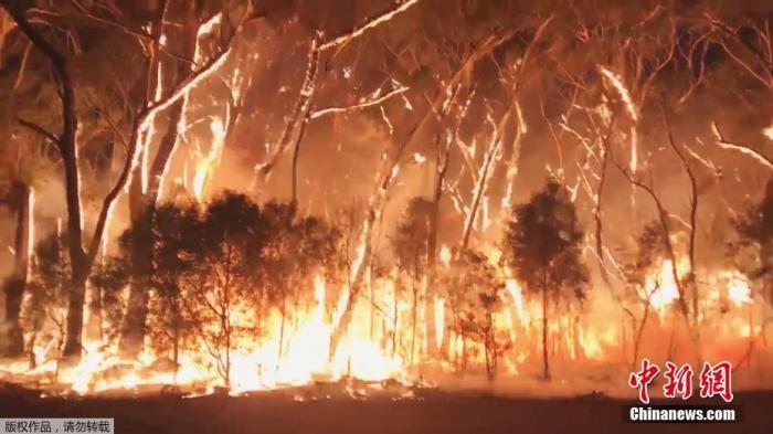 悉尼周边自12月6日起出现由多处山火聚合而成的巨大火势。