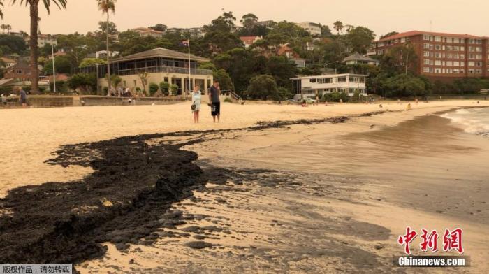 资料图：近日，澳大利亚新南韦尔斯省各处持续面临野火肆虐，最大城市悉尼面临空气污染威胁，现在因海浪将燃烧过后的灰烬冲上岸，将金色海岸染成“黑色沙滩”。