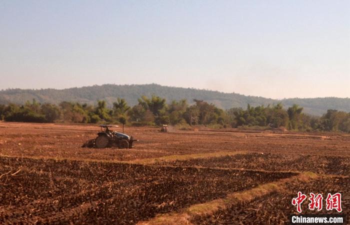 图为老挝沙湾拉吉省的平坝稻田中，小型农机替代了耕牛。<a target='_blank' href='http://www.chinanews.com/'>中新社</a>记者 缪超 摄