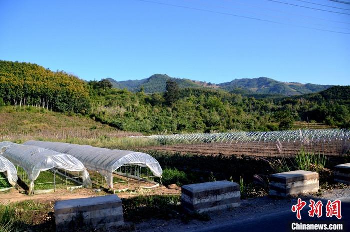 图为老挝南塔省农田里撑起拱形大棚，正在试种新品种蔬菜。<a target='_blank' href='http://www.chinanews.com/'>中新社</a>记者 缪超 摄