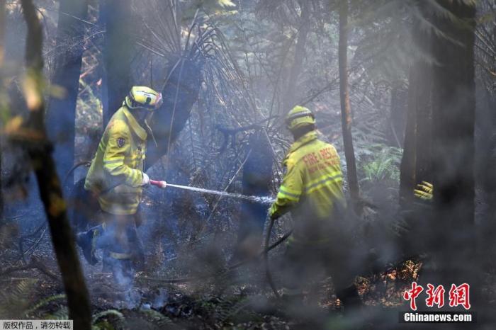 当地时间12月18日，位于澳大利亚悉尼西北约120公里的蓝山山脉威森山发生森林大火，树木被烧成焦炭。据悉，澳大利亚本周经历了有记录以来最热的一天。当局在18日表示，预计持续的热浪将会加剧本就严峻的森林火灾情势。