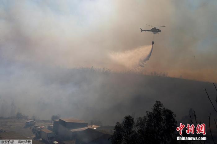 当地时间12月24日，智利瓦尔帕莱索的Rocuant山发生森林火灾期间，大量房屋被烧毁。据报道，当地发布了红色预警，至少有50栋房屋在大火中受到影响。图为当地出动直升机参与救援。