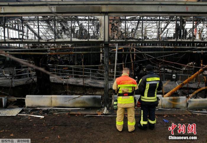消防人员接到火警后赶往火灾现场，火势很快被控制，但动物园的猿类馆已被烧毁。