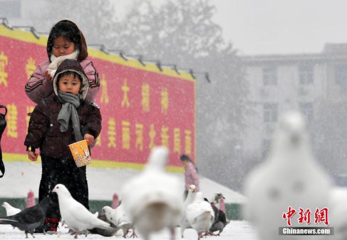 1月5日中午，河北石家庄迎来了2020年的第一场雪。很多市民走向户外，赏雪、嬉戏。图为孩童与鸽子一起“赏雪”。中新社记者 翟羽佳 摄