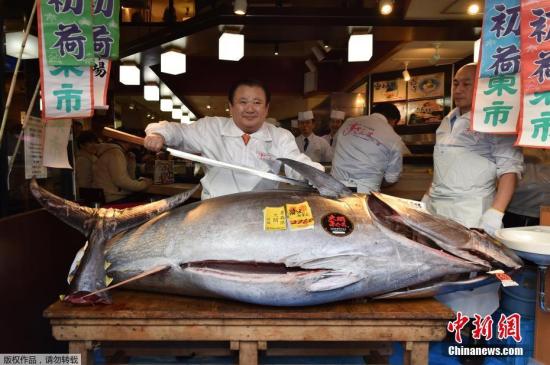 China to halt aquatic products import from Japan from Thursday
