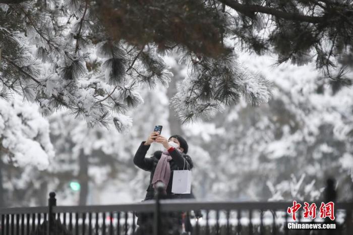 1月6日，北京，市民在街头拍摄雪后美景。1月5日晚，北京2020年第一场雪如期“到货”，全市普降中到大雪。 中新社记者 盛佳鹏 摄