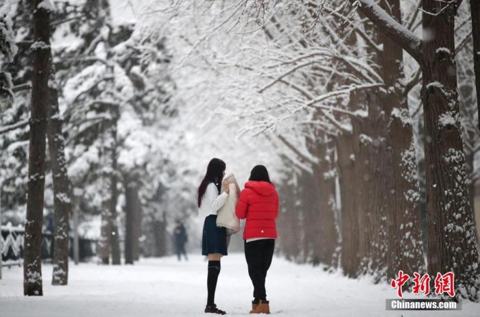 1月6日，北京，市民在街头拍摄雪后美景。 中新社记者 盛佳鹏 摄