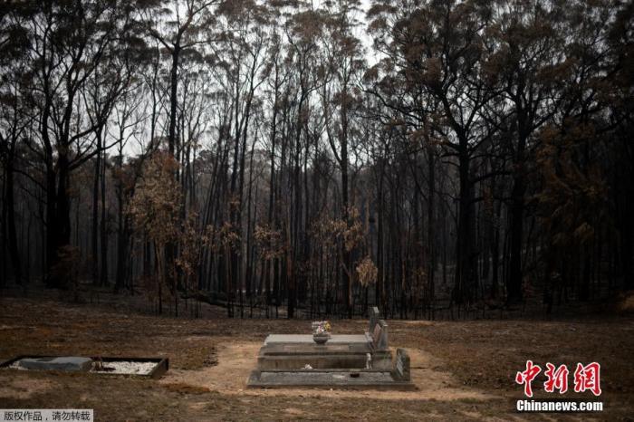 当地时间1月8日，澳大利亚的灾难性山林大火持续肆虐，没有要停止的迹象。被山火“洗礼”过的地方，一片荒芜毫无生机，路透社记者来到一处名为Mogo的村庄，这里除了墓地里的石碑完好无损，其他建筑均被烧毁。