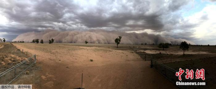 当地时间1月19日，澳大利亚新南威尔士州西北部出现沙尘暴，沙墙由远及近滚滚而来。