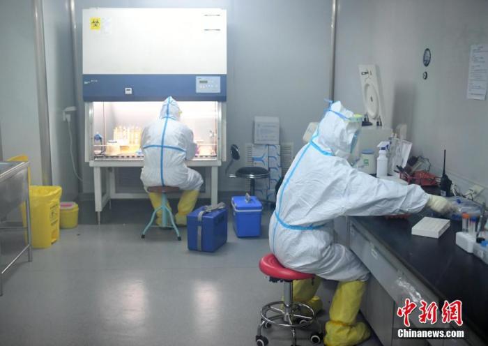 资料图：检测组工作人员进行病毒检测。<a target='_blank' href='http://www.chinanews.com/'>中新社</a>记者 李佩珊 摄