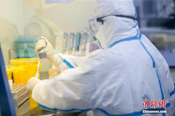 2月4日，武汉市疾控中心检测组工作人员进行病毒检测。武汉市疾控中心是该市首批获准开展新型冠状病毒核酸检测的机构之一。位于该中心病原生物检验所的生物安全二级实验室(P2实验室)则是“绝对禁区”。<a target='_blank' href='http://www.chinanews.com/'>中新社</a>记者 张畅 摄