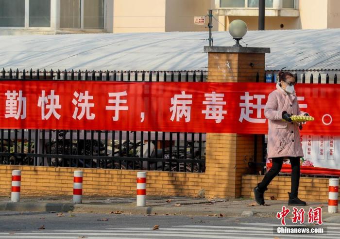 2月5日，湖北武汉经济技术开发区，一位市民外出采购蔬菜和食品。<a target='_blank' href='http://www.chinanews.com/'>中新社</a>记者 张畅 摄
