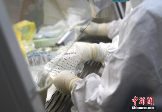 2月10日，位于贵阳的贵州省人民医院检验科进行核酸检测。开展核酸检测，是目前及时有效发现和控制新冠肺炎传染源的重要手段，核酸检测可以有效做到早发现，早隔离。截至目前，贵州开展核酸检测完成采样37477人、检测24887人。 <a target='_blank' href='http://www.chinanews.com/'>中新社</a>发 武敏 摄