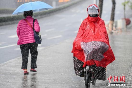 据广州市气象局数据，截至2月15日14时55分，广州受雷雨云团影响，全市普遍出现大到暴雨，部分地区伴有6-8级短时大风，9区发布暴雨预警。图为广州市民在雨中出行。中新社记者 陈骥旻 摄