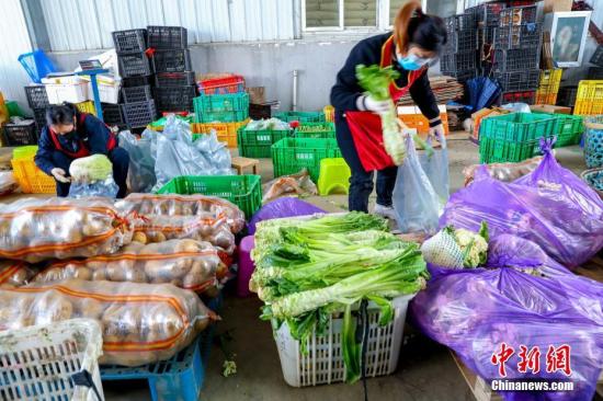 2月18日，在武汉市东西湖区的强鑫蔬菜产销专业合作社的蔬菜分拣中心，工作人员正在对现场的多种蔬菜挑选5种，做成“套装蔬菜”，由专人负责运送到对接的小区。中新社记者 张畅 摄