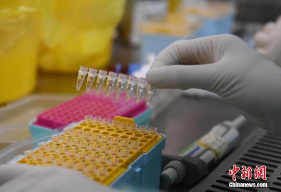 资料图：医护人员正在进行新冠病毒核酸检测。<a target='_blank' href='http://www.chinanews.com/'>中新社</a>记者 韩苏原 摄