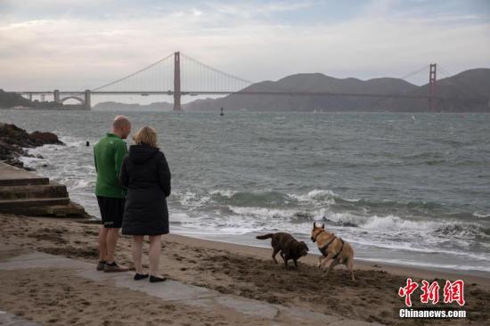 当地时间2月29日，当地居民在旧金山金门大桥附近遛狗。2月25日，旧金山宣布进入“紧急状态”。<a target='_blank' href='http://www.chinanews.com/'>中新社</a>记者 刘关关 摄