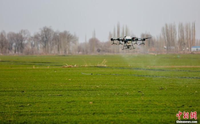 资料图：农民用无人机喷洒农药。 陶维明 摄
