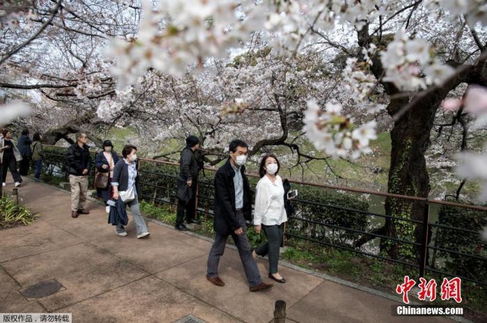 当地时间2020年3月22日，日本东京上野公园樱花绽放，不少游人带着口罩在樱花林间散步。