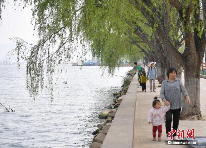 3月22日，民众在云南省玉溪市通海县的杞麓湖环湖步道散步。杞麓湖是云南九大高原湖泊之一。近年来，当地稳步推进杞麓湖治理工作，实施环湖截污治污工程建设、污水处理厂及管网配套建设、湖滨生态湿地修复、入湖河道生态治理等措施。<a target='_blank' href='http://www.chinanews.com/'>中新社</a>记者 刘冉阳 摄