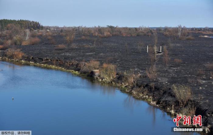 当地时间4月12日，乌克兰切尔诺贝利核电站周围30公里禁区的森林大火过后，波利斯凯定居点的树木被烧毁。