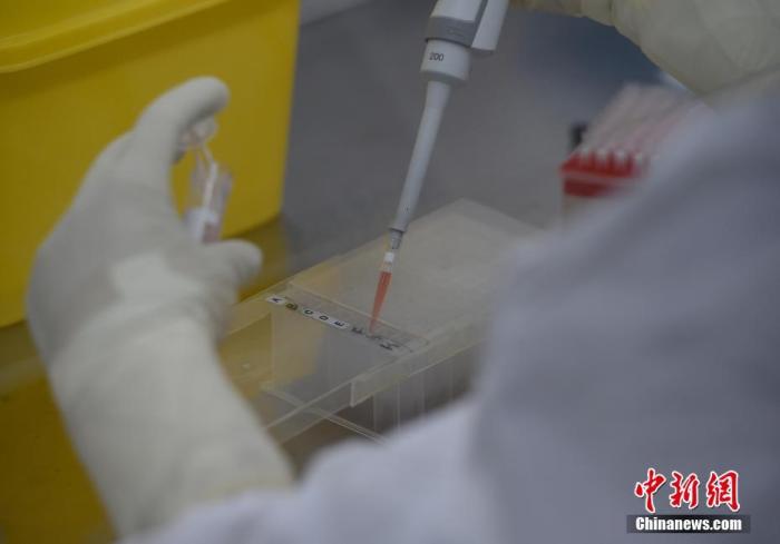 资料图：北京新冠肺炎病毒核酸检测实验室工作人员用预处理的样本提取核酸。<a target='_blank' href='http://www.chinanews.com/'>中新社</a>记者 侯宇 摄
