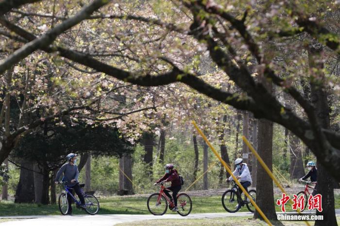 当地时间4月19日，纽约市皇后区的一处公园内，人们戴着口罩户外运动享受春光。 <a target='_blank' href='http://www.chinanews.com/'>中新社</a>记者 廖攀 摄