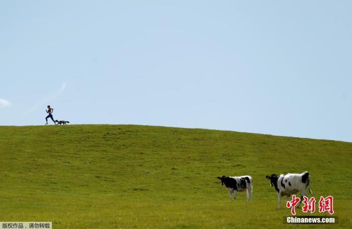 当地时间4月27日，英国现代五项运动员Jo Muir在乌尔哈夫父母的农场训练，牧羊犬跟着她一起从山坡上跑过。